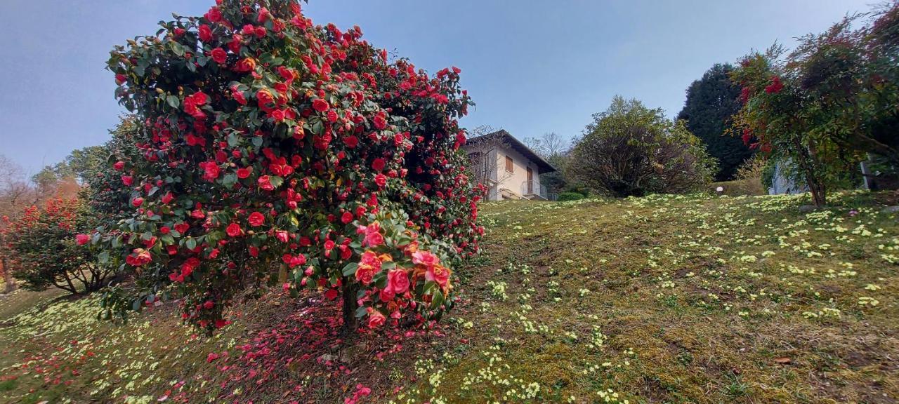 La Casa Delle Camelie Villa Stresa Exterior photo